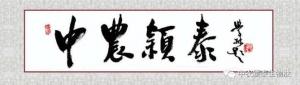 喜訊快遞 | 中農穎泰成功入選河南省優(yōu)質企業(yè)備投項目庫